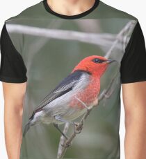 Scarlet Graphic T-Shirt