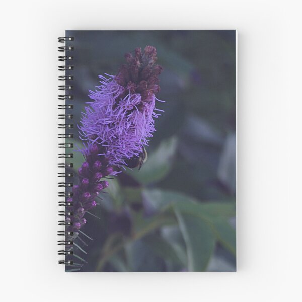 Aperçu de l'œuvre Fleurs denses étoiles flamboyantes dans des feuilles vertes denses Prairie Gay Feather créée et vendue par Mothe3rd.