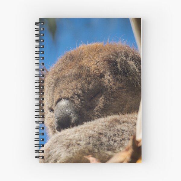 Item preview, Otways Koala  designed and sold by D-GaP.