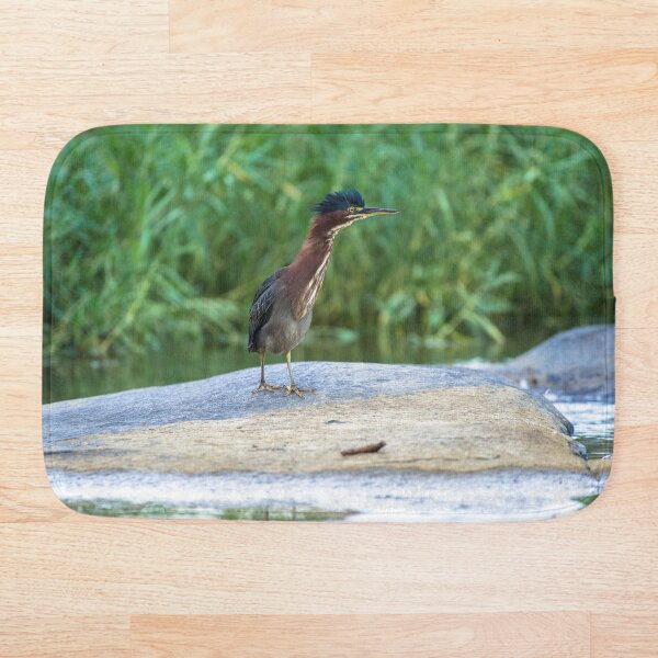 Item preview, Green Heron in the River designed and sold by ActuallytheDogs.