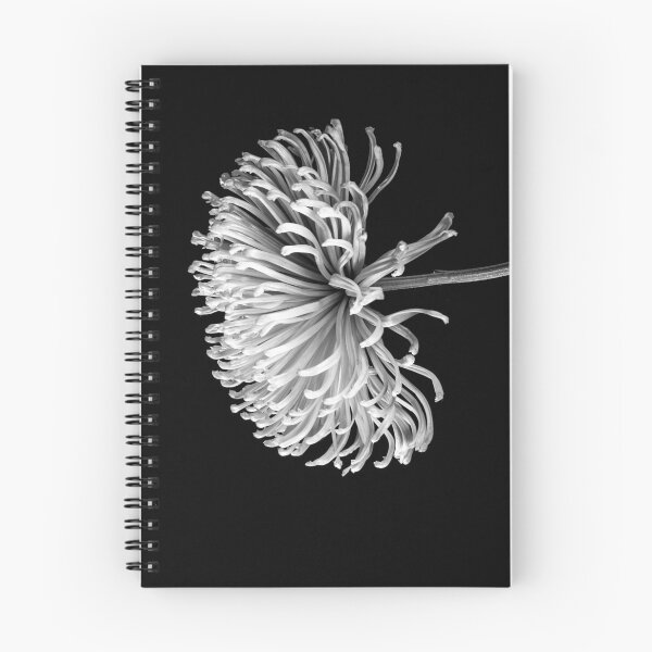 Item preview, Chrysanthemum designed and sold by jaks.
