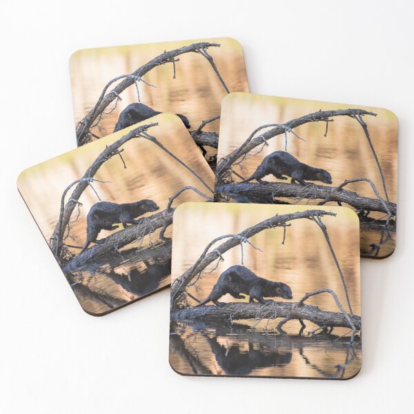 Item preview, River Otter at Golden Hour designed and sold by ActuallytheDogs.