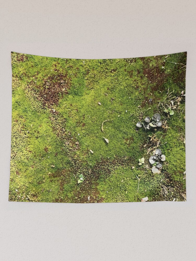 Bring Outside In, Moss pattern, forest floor, mossy
