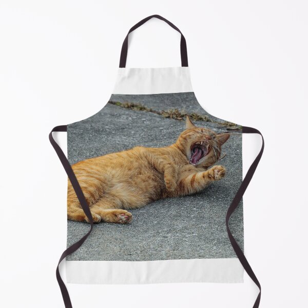 Item preview, Open wide--we'll say awe . . . designed and sold by Joel Bader.
