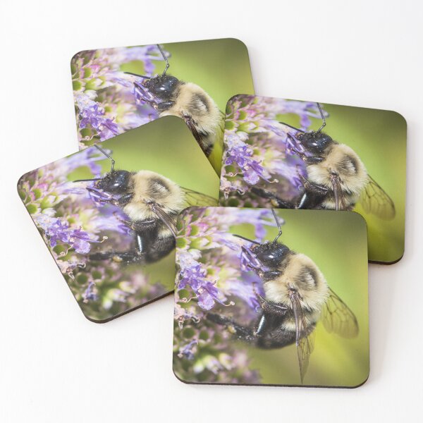 Artikelvorschau, Biene auf Blumen entworfen und verkauft von ActuallytheDogs.