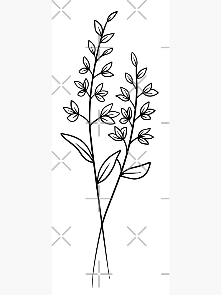 Dainty Daisy Minimalist Line Drawing - Dainty Daisy Minimalist Line Drawing  - Pin