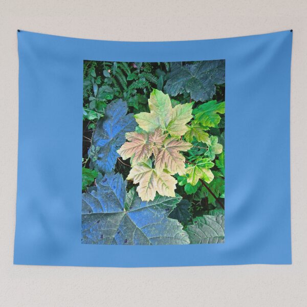Item preview, Beautifully coloured autumn leaves designed and sold by Shulie1.