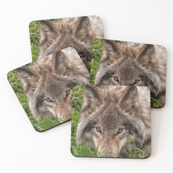 Item preview, Wolf Pup in Grass designed and sold by david parry.