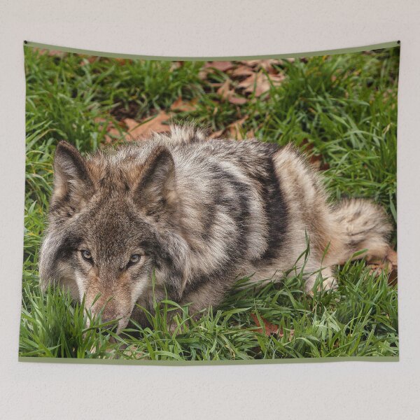 Item preview, Wolf Pup in Grass designed and sold by david parry.