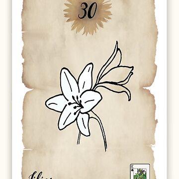 Artwork thumbnail, Lenormand Lilies Card - Hand Drawn by TheMaverickSage