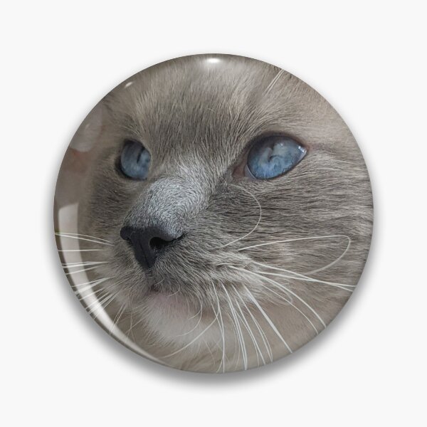 Item preview, Ragdoll cat boss Odin designed and sold by Fluffycat2020.