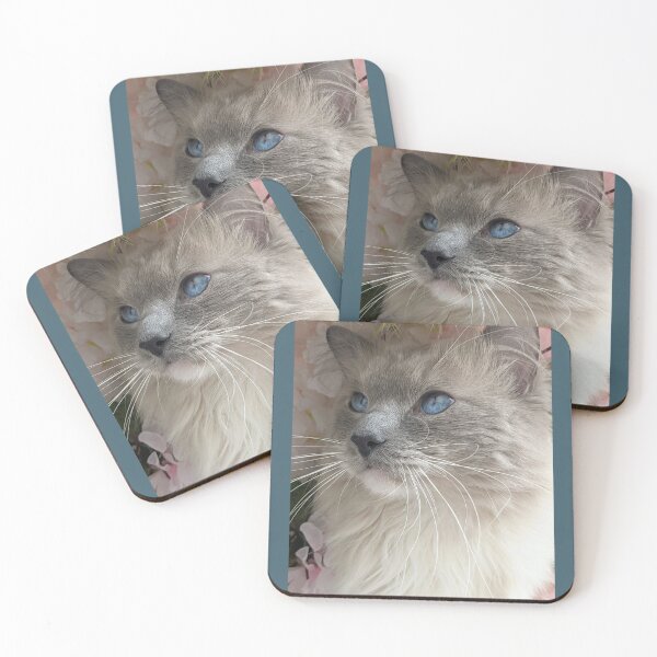 Item preview, Ragdoll cat boss Odin designed and sold by Fluffycat2020.