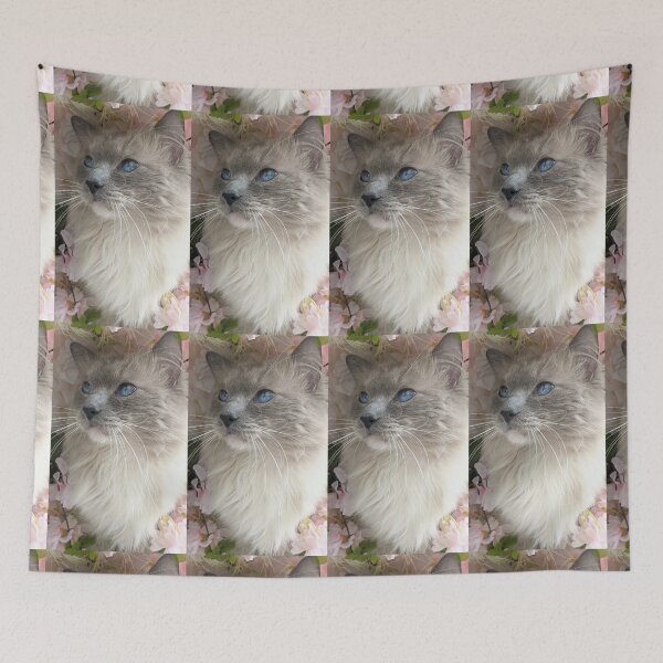 Item preview, Ragdoll cat boss Odin designed and sold by Fluffycat2020.