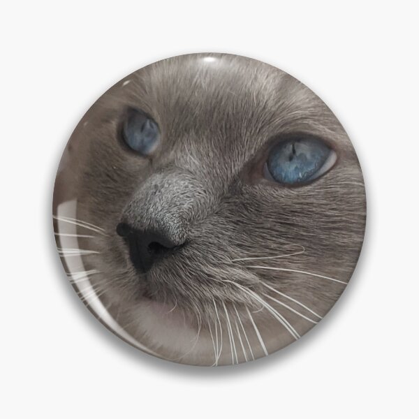Item preview, Ragdoll cat boss Odin designed and sold by Fluffycat2020.