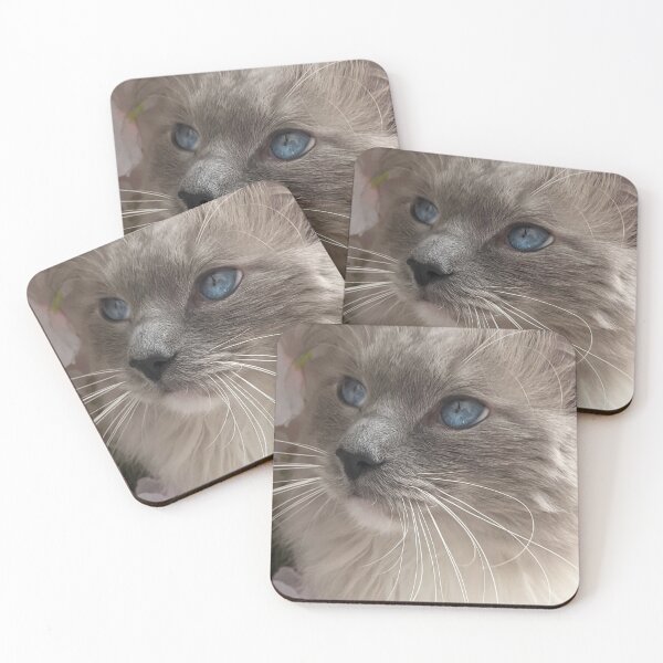 Item preview, Ragdoll cat boss Odin designed and sold by Fluffycat2020.