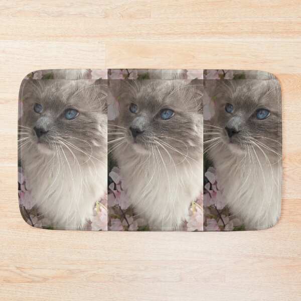 Item preview, Ragdoll cat boss Odin designed and sold by Fluffycat2020.