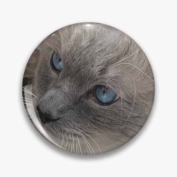Item preview, Ragdoll cat boss Odin designed and sold by Fluffycat2020.