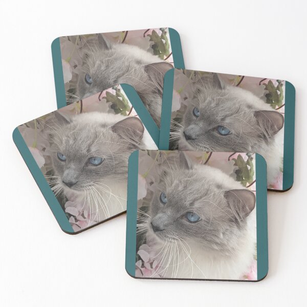 Item preview, Ragdoll cat boss Odin designed and sold by Fluffycat2020.