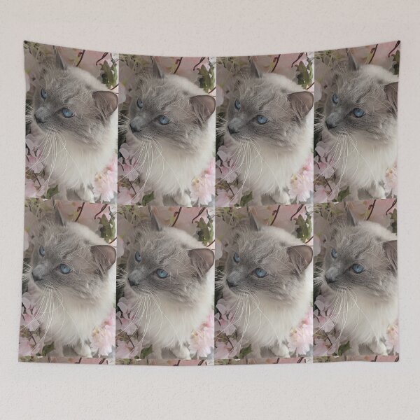 Item preview, Ragdoll cat boss Odin designed and sold by Fluffycat2020.