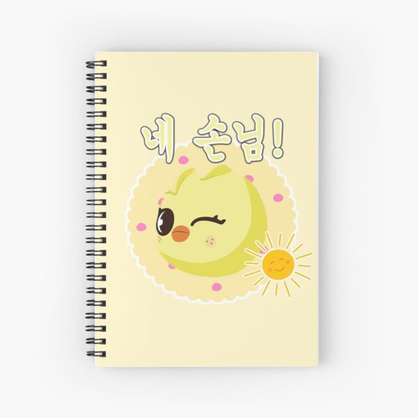 SKZOO Diary Spiral Notebook Leebit Aka Lee Know of Stray Kids Ruled Line  Journal 