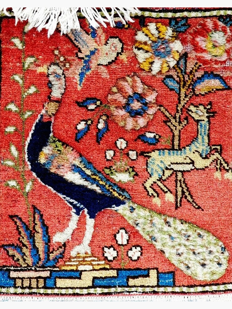 Peacock Rug,custom Rug, Gift for Him,peacock Patterned Rug,animal