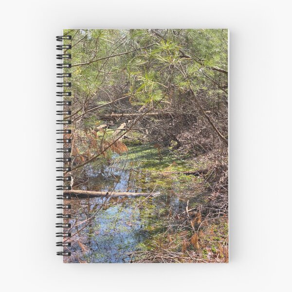 Item preview, Spring Thaw Creek designed and sold by the-bujo-babe.