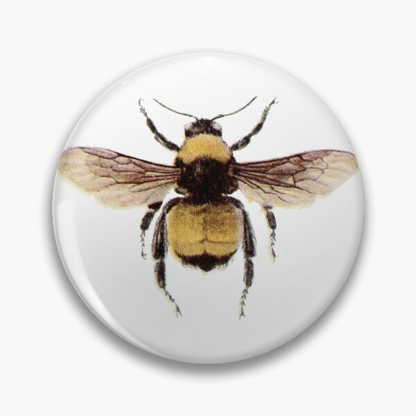 Item preview, Bombus designed and sold by nimeja.