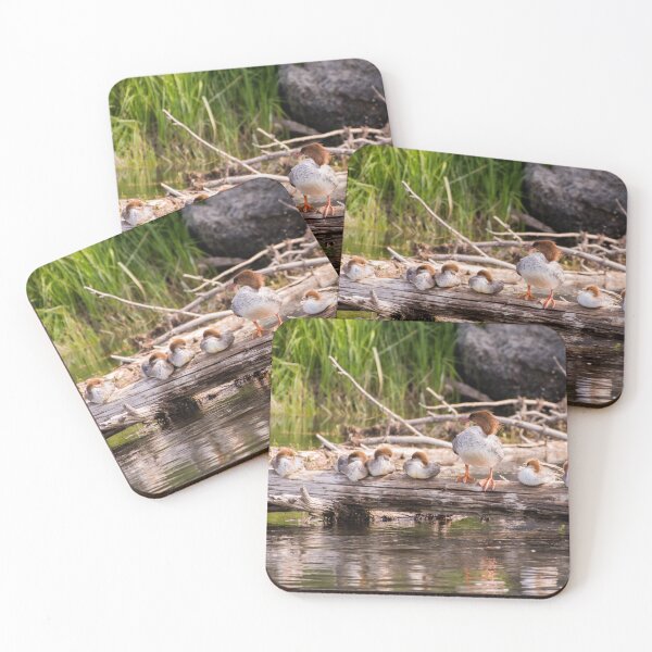 Item preview, Common Merganser & Babies designed and sold by ActuallytheDogs.