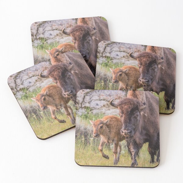 Artikelvorschau, Bison & Calf entworfen und verkauft von ActuallytheDogs.