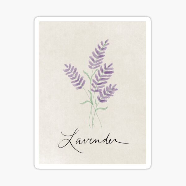 Digital Watercolor - Lavender Sticker
