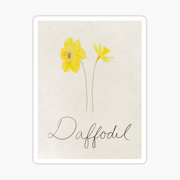 Digital Watercolor - Daffodil Sticker