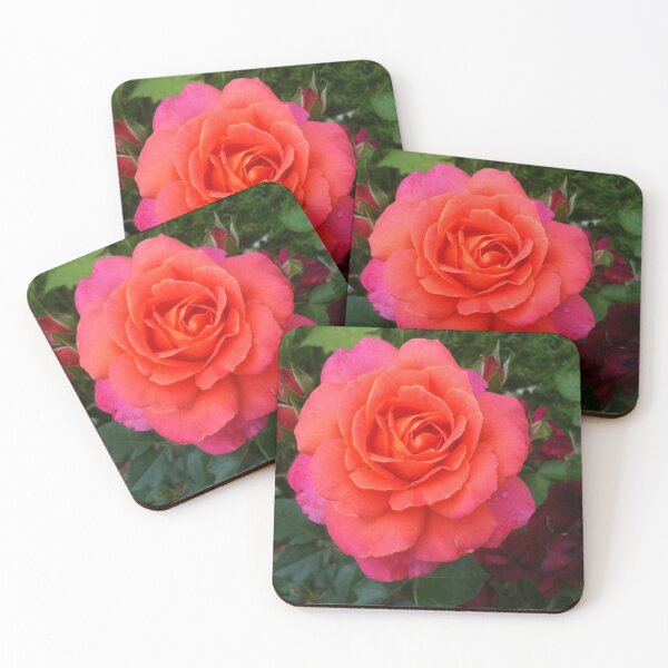 Item preview, Red Pink Rose designed and sold by Russ  Fagle.