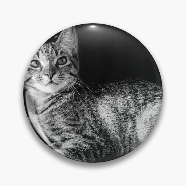 Item preview, Gritty Kitty designed and sold by David Captain.