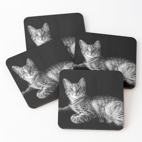 Item preview, Gritty Kitty designed and sold by David Captain.