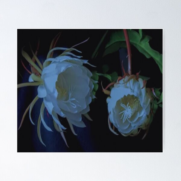 Item preview, Flores Tropicales 2 @Noche designed and sold by Mannes971.