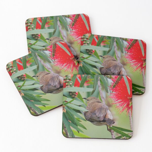 Item preview, SC ~ HONEYEATER ~ Scarlet Honeyeater 4mLqypBS by David Irwin 230321 designed and sold by tasmanianartist.