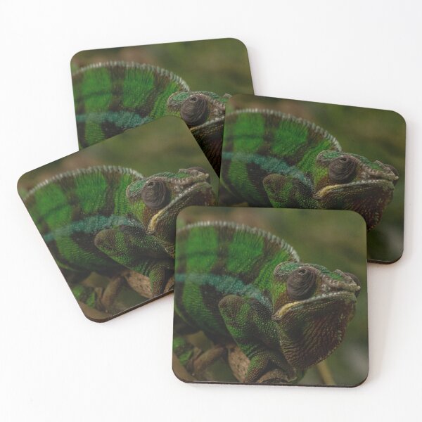 Item preview, Chameleon at the Calgary zoo designed and sold by Ok-Oskar.