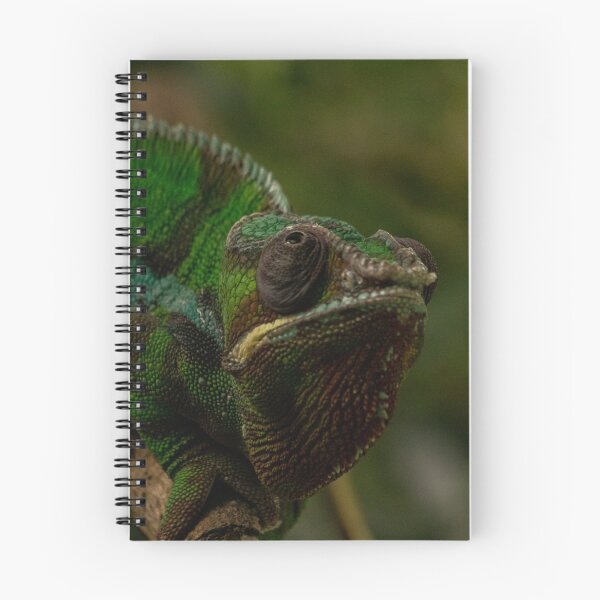 Item preview, Chameleon at the Calgary zoo designed and sold by Ok-Oskar.