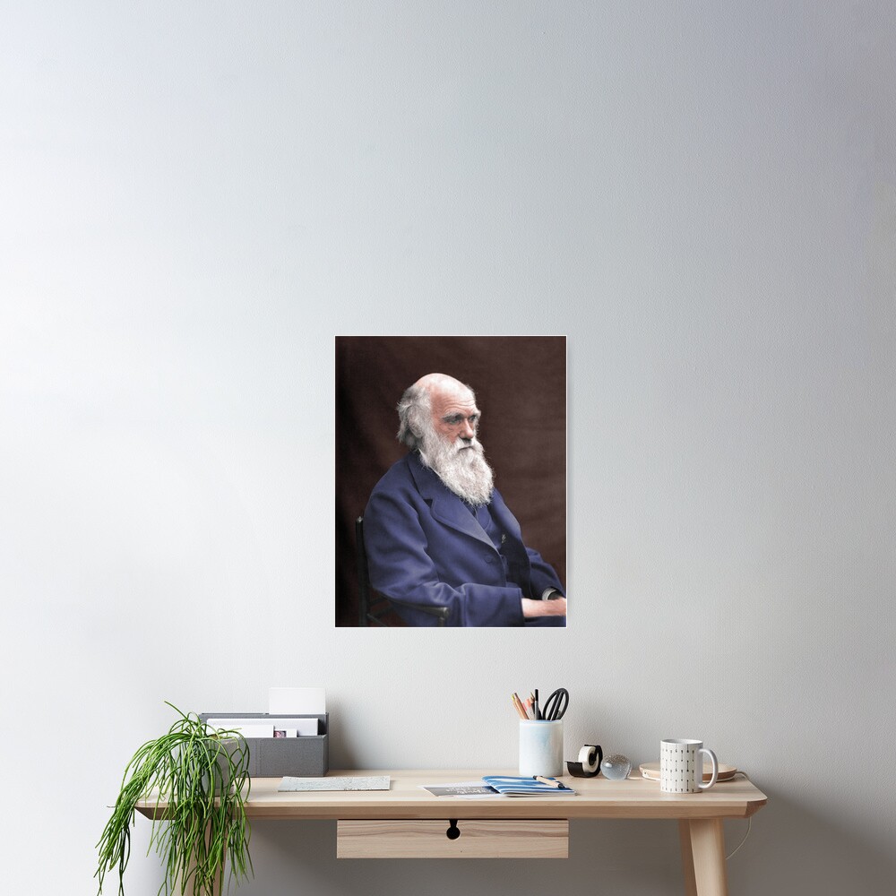 Item preview, Poster designed and sold by warishellstore.