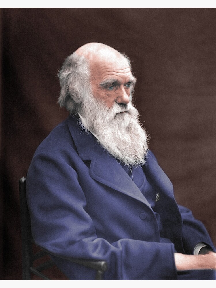 Thumbnail 3 of 3, Photographic Print, Charles Darwin Portrait - 1874 Colorized designed and sold by warishellstore.