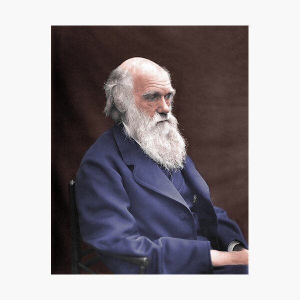 Photographic Print