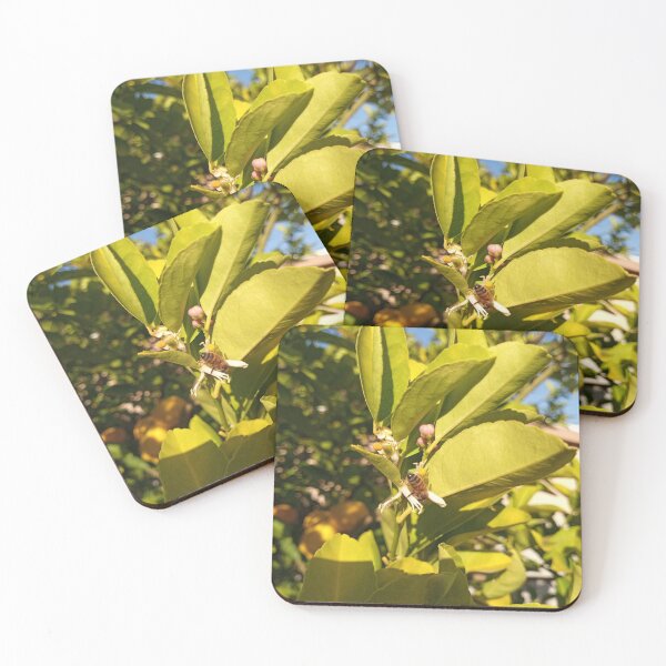 Item preview, Bees and lemons  designed and sold by Hcneyny.