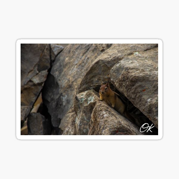 Item preview, Canada's Wildlife designed and sold by Ok-Oskar.
