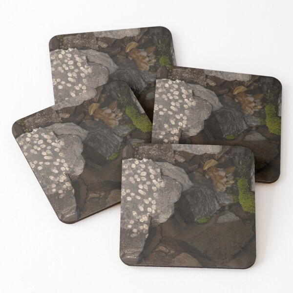 Item preview, Fossils designed and sold by Ok-Oskar.