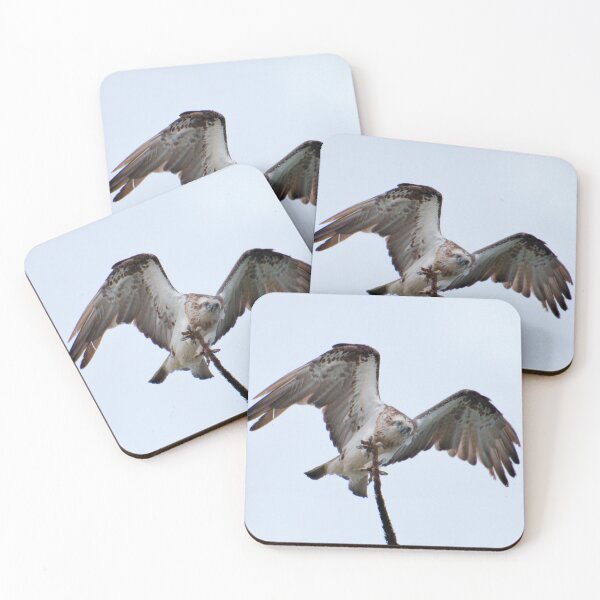 Item preview, RAPTOR ~ SC ~ Eastern Osprey NYLQPTSV by David Irwin 230321 designed and sold by tasmanianartist.