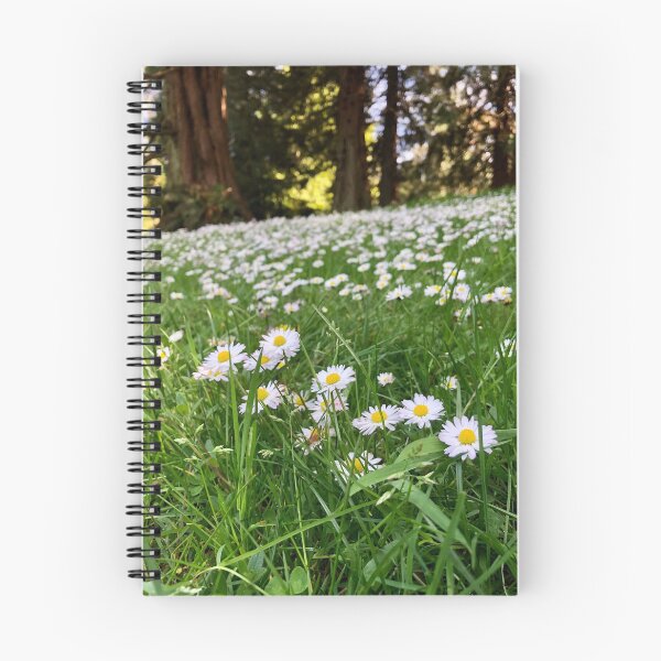 Item preview, Summer Afternoons designed and sold by LMHVAN.