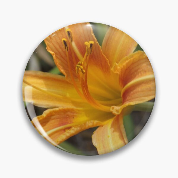 Item preview, Golden Blossom designed and sold by lornakay.