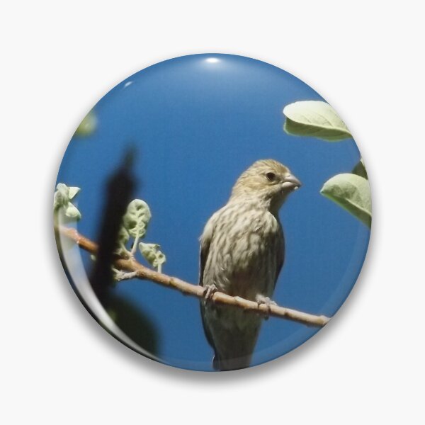 Item preview, Perched    designed and sold by lornakay.