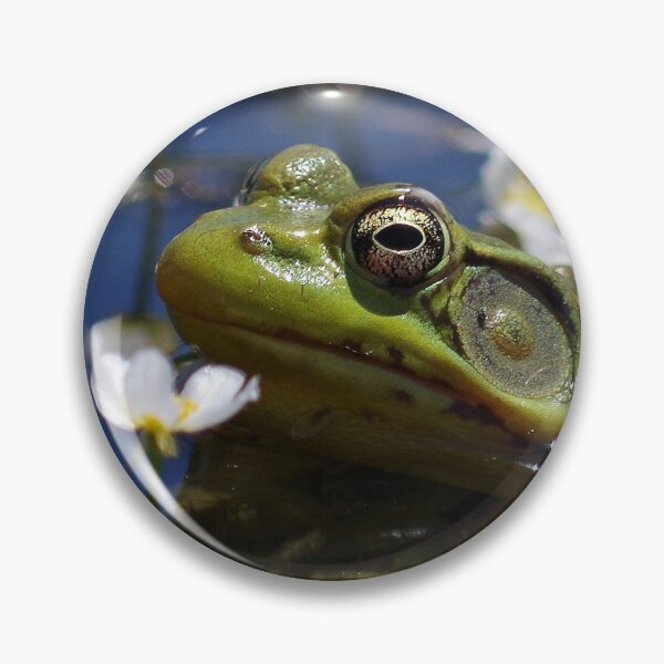 Item preview, Frog with pond flowers #2 designed and sold by silverwheelarts.