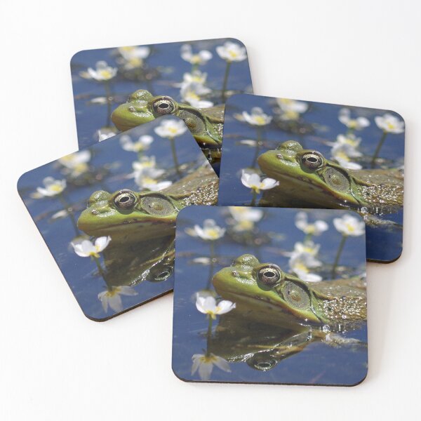 Item preview, Frog with pond flowers #2 designed and sold by silverwheelarts.